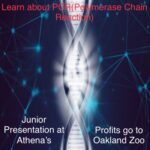 PCR - Junior Presentation at Athena's Advanced Academy