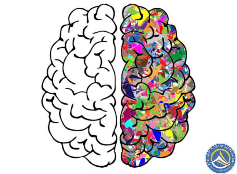 Brain hemispheres for the 2e Neuro-Balance Club course at Athena's Advanced Academy