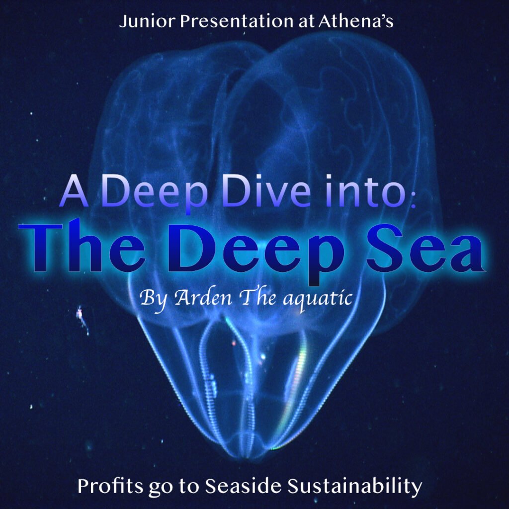 Underwater creature for the Junior Presentation about the Deep Sea at Athena's Advanced Academy