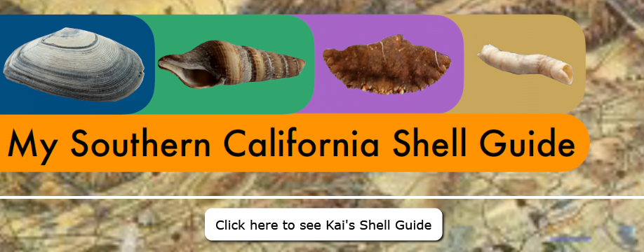 Photo linking to Kai's Shell Guide