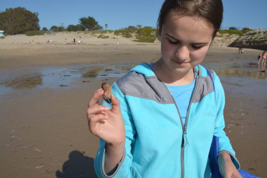 Young Prof. Emma and a crab claw found on the beach.